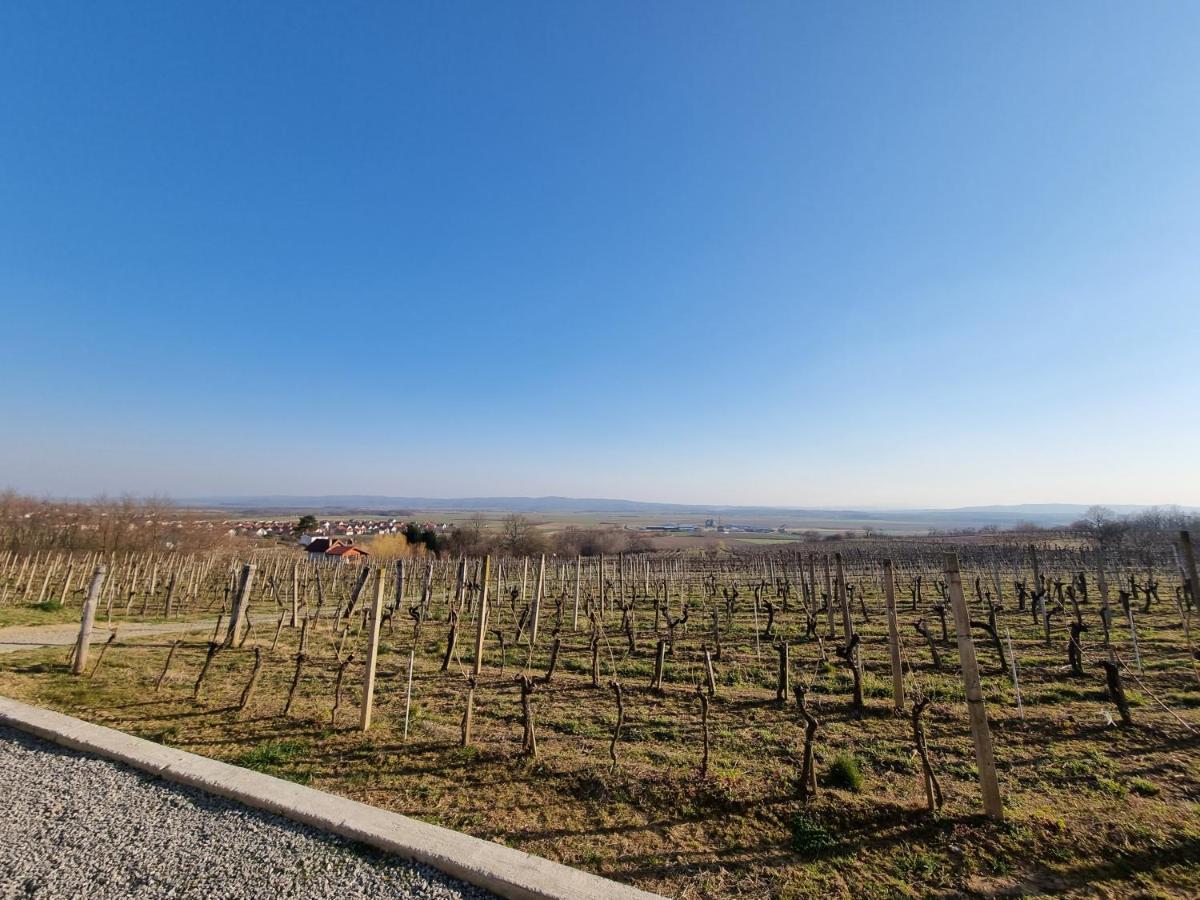 Kuca Za Odmor Baron Villa Kutjevo Bagian luar foto