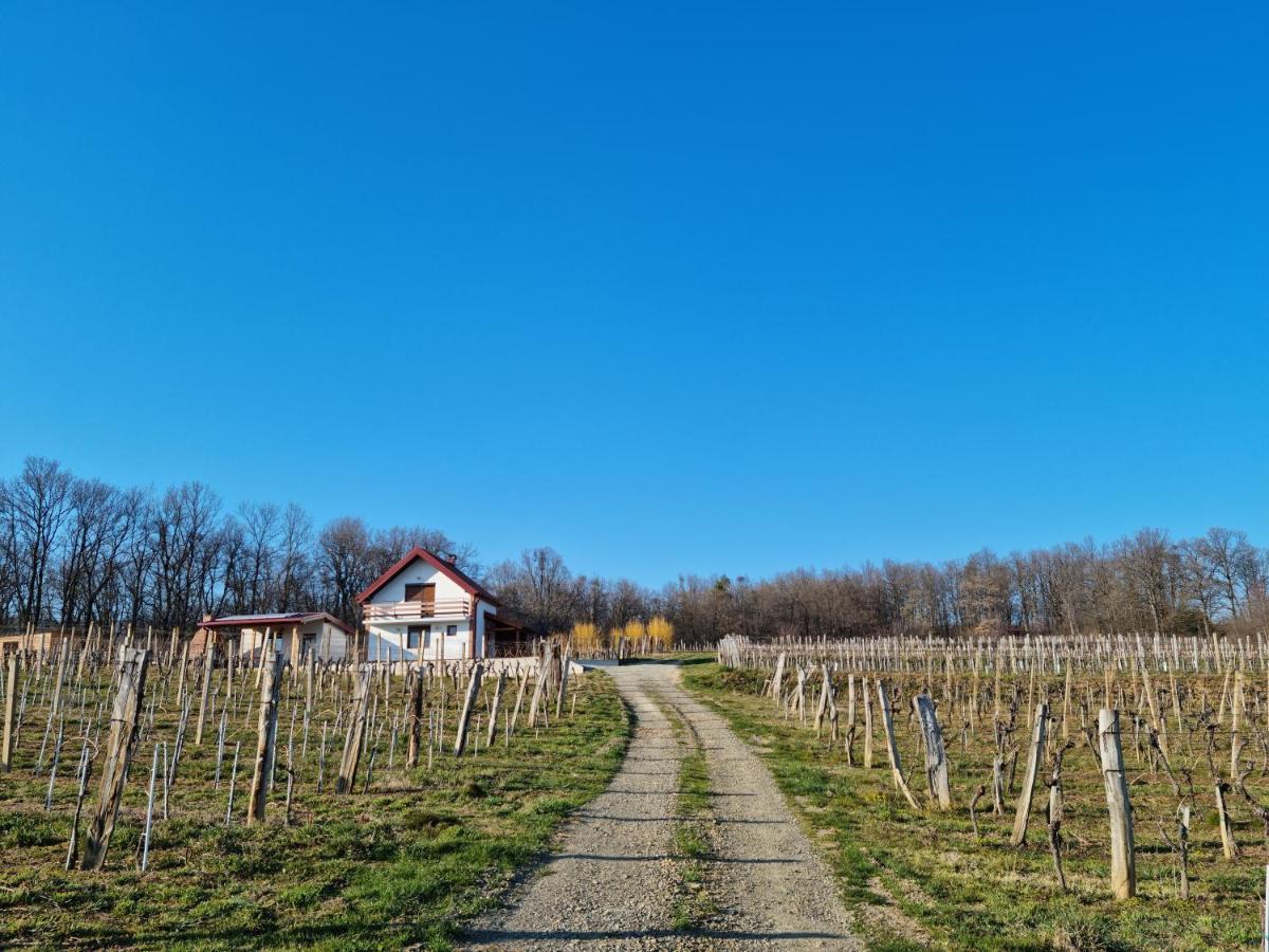 Kuca Za Odmor Baron Villa Kutjevo Bagian luar foto
