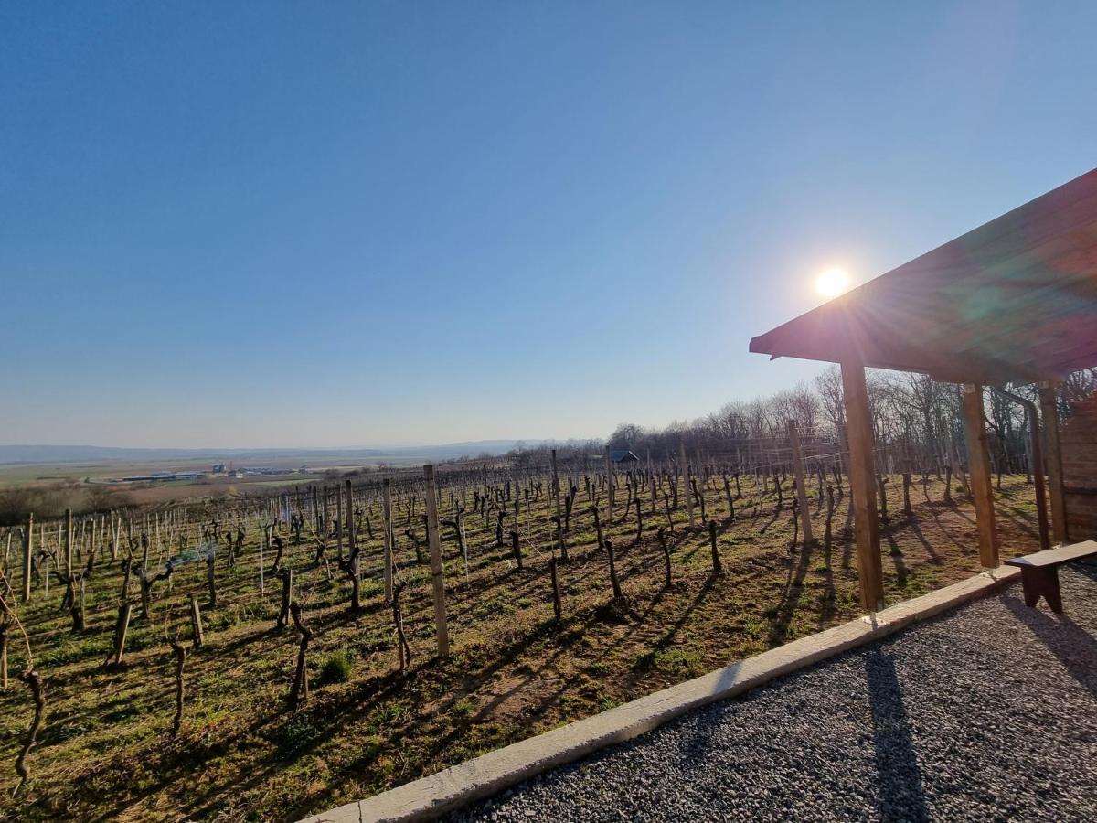 Kuca Za Odmor Baron Villa Kutjevo Bagian luar foto