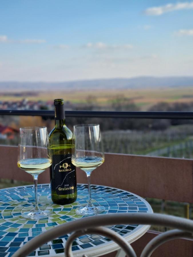Kuca Za Odmor Baron Villa Kutjevo Bagian luar foto