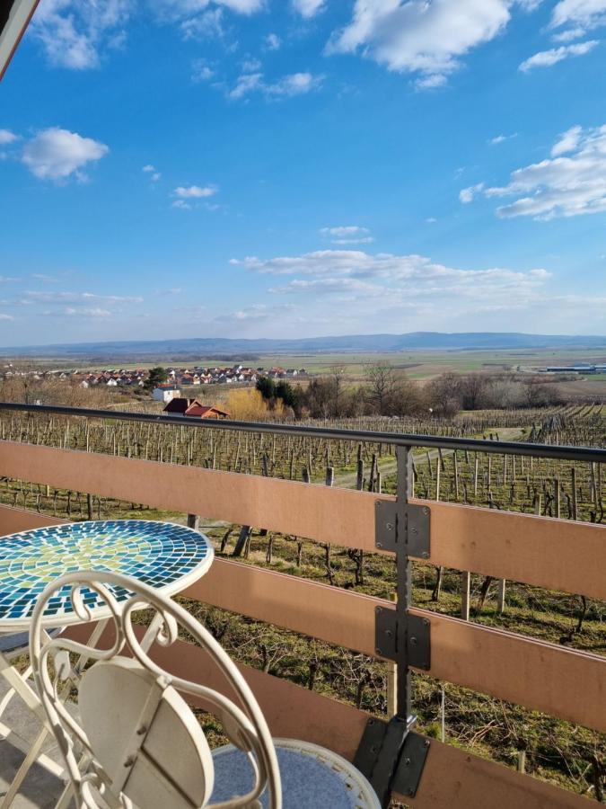 Kuca Za Odmor Baron Villa Kutjevo Bagian luar foto