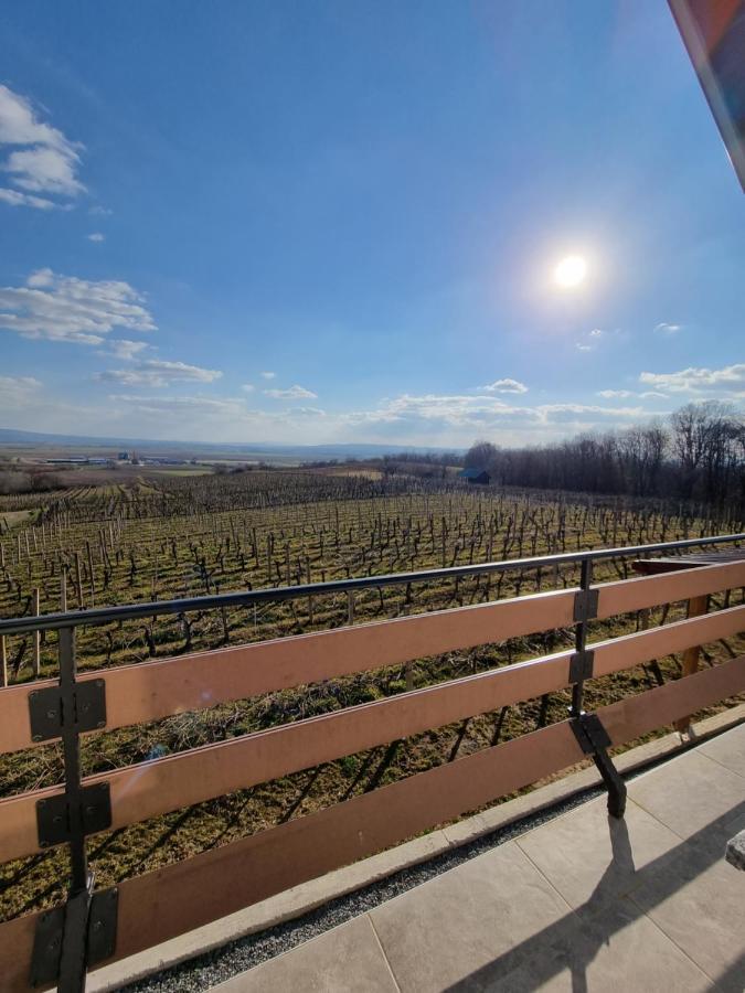 Kuca Za Odmor Baron Villa Kutjevo Bagian luar foto
