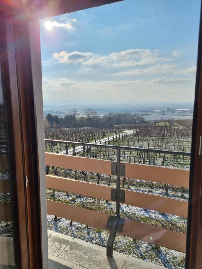 Kuca Za Odmor Baron Villa Kutjevo Bagian luar foto