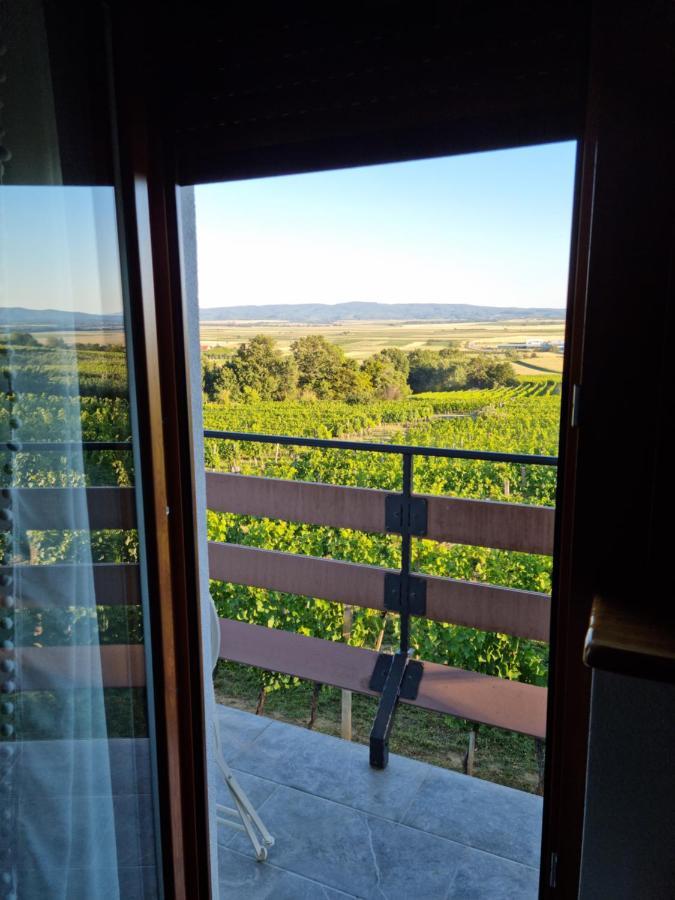 Kuca Za Odmor Baron Villa Kutjevo Bagian luar foto