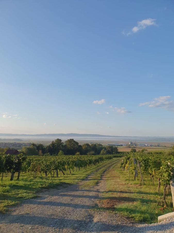 Kuca Za Odmor Baron Villa Kutjevo Bagian luar foto