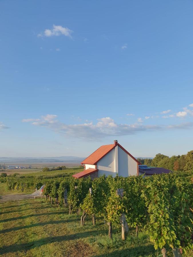 Kuca Za Odmor Baron Villa Kutjevo Bagian luar foto