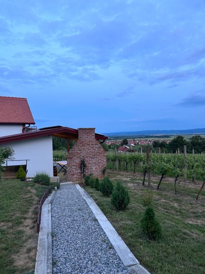 Kuca Za Odmor Baron Villa Kutjevo Bagian luar foto
